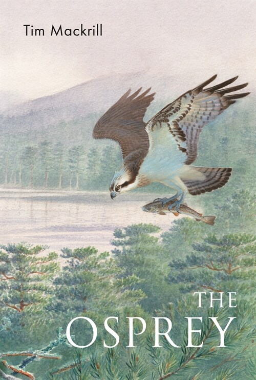 The Osprey (Paperback)
