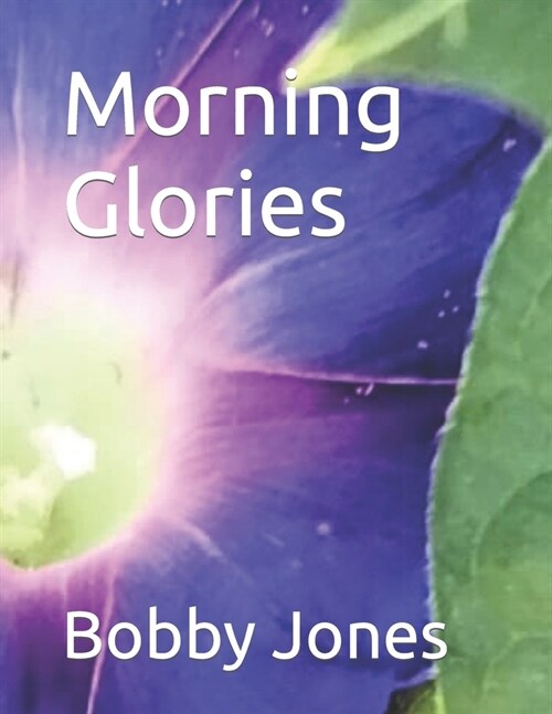 Morning Glories (Paperback)