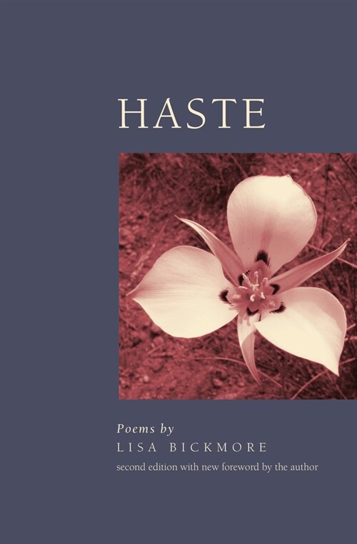 Haste (Paperback, 2)
