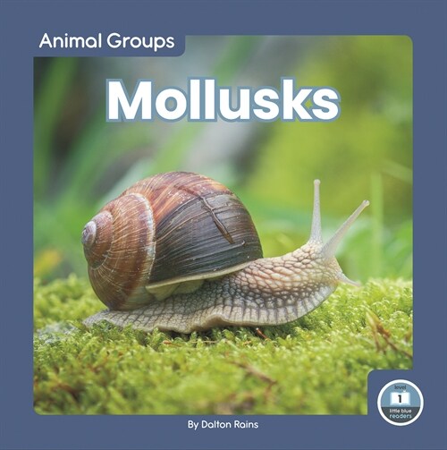 Mollusks (Library Binding)