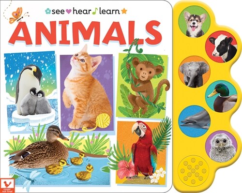 Animals (See Hear Learn) (Board Books)