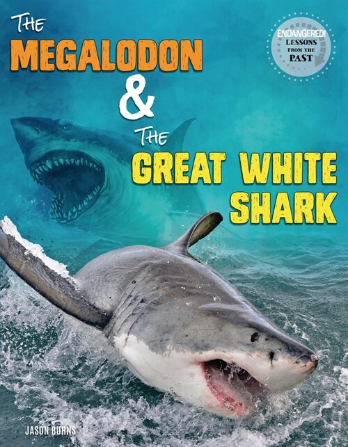 The Megalodon and the Great White Shark (Library Binding)