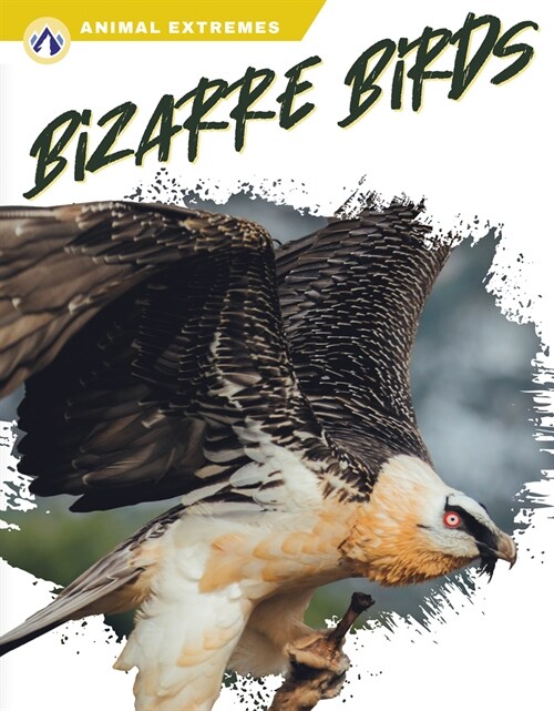 Bizarre Birds (Paperback)