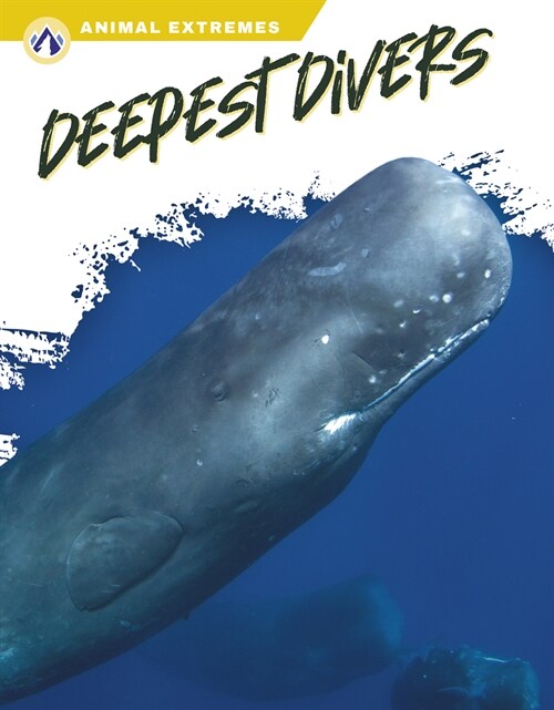 Deepest Divers (Paperback)