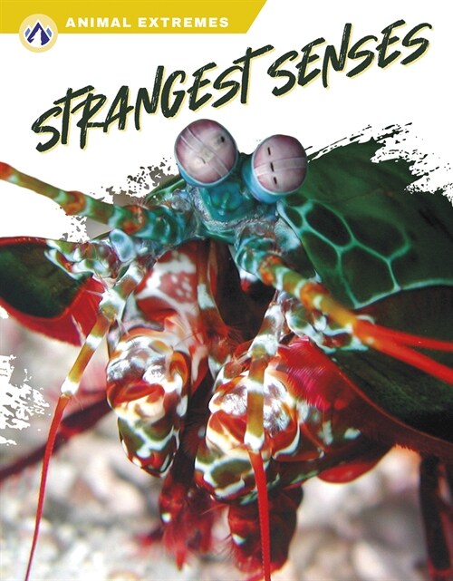 Strangest Senses (Paperback)