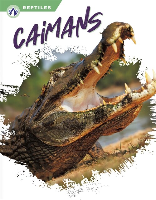 Caimans (Paperback)