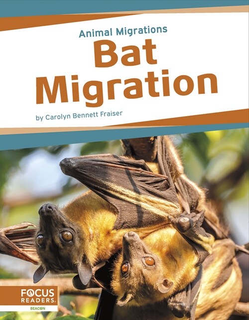 Bat Migration (Paperback)