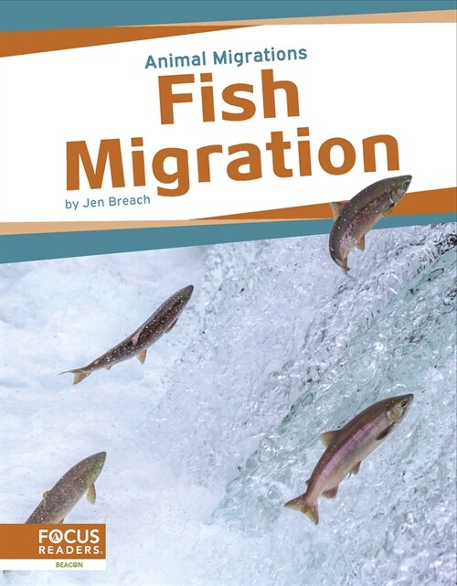 Fish Migration (Paperback)