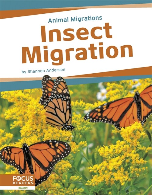 Insect Migration (Paperback)