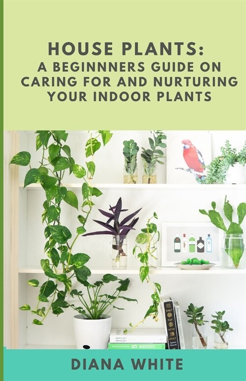 House Plants: A BEGINNERs GUIDE to NURTURE and CARE for YOUR INDOOR PLANTS (Paperback)