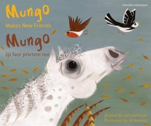 Mungo Makes New Friends Romanian/English (Paperback)
