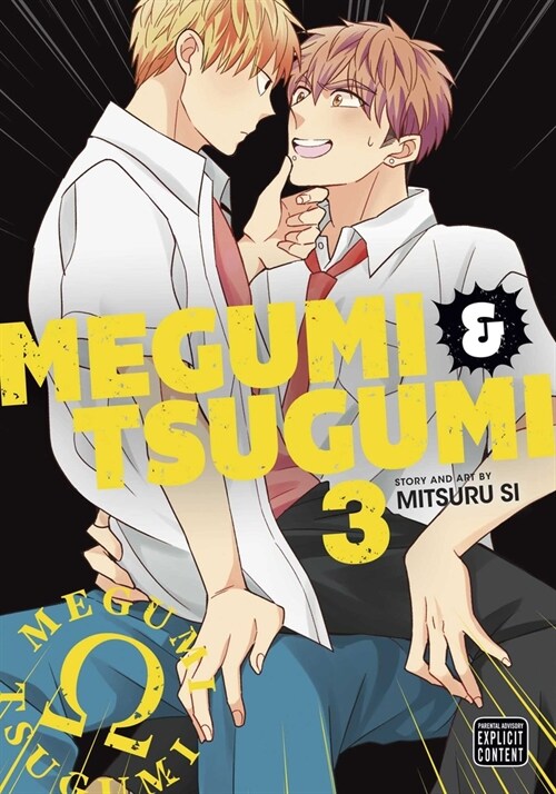 Megumi & Tsugumi, Vol. 3 (Paperback)