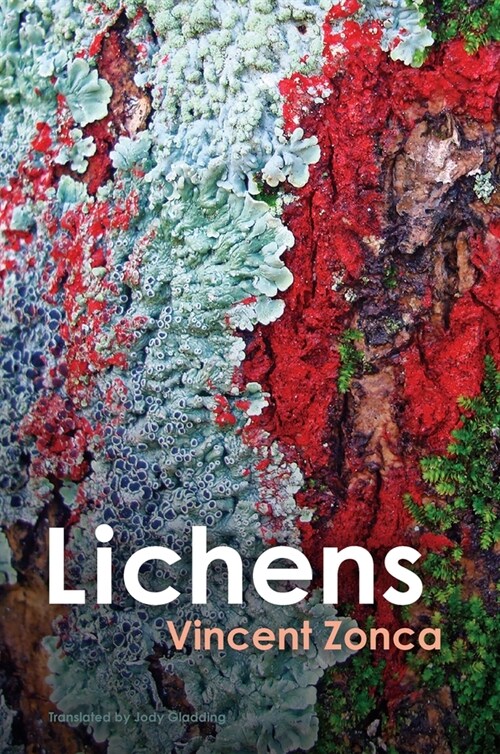 [eBook Code] Lichens (eBook Code, 1st)