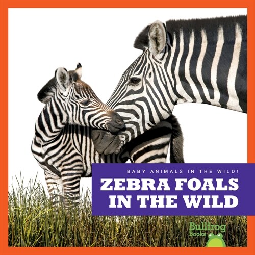 Zebra Foals in the Wild (Library Binding)