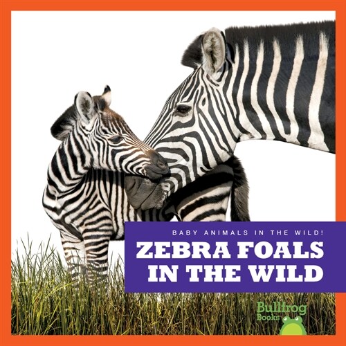 Zebra Foals in the Wild (Paperback)