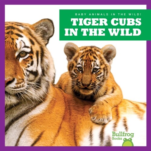 Tiger Cubs in the Wild (Paperback)
