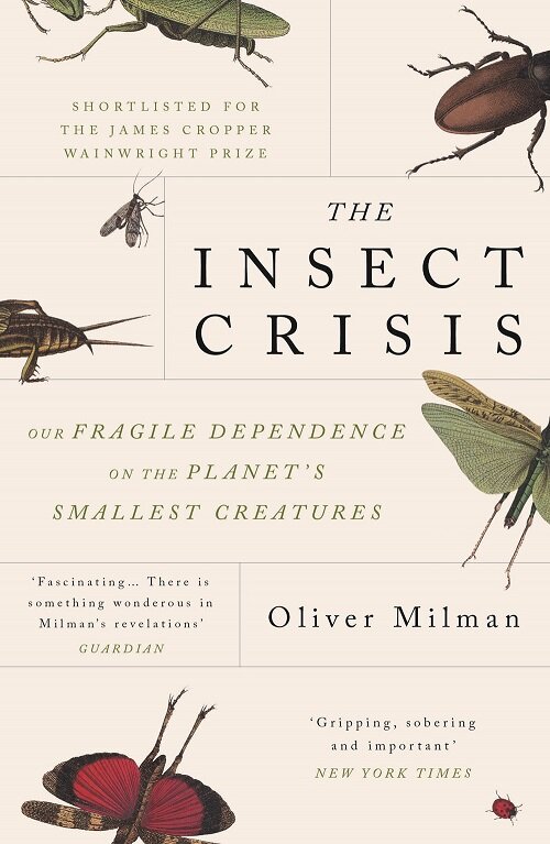 The Insect Crisis : Our Fragile Dependence on the Planets Smallest Creatures (Paperback)