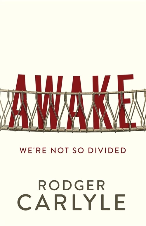 Awake: Were Not So Divided (Paperback)