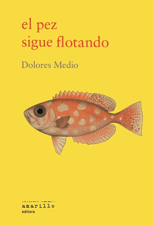 EL PEZ SIGUE FLOTANDO (Book)