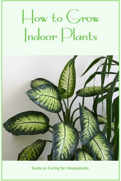 How to Grow Indoor Plants: Guide on Caring for Houseplants.: Care Instructions for Houseplants. (Paperback)