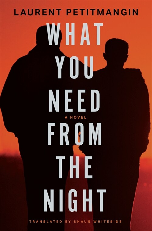 What You Need from the Night (Paperback)