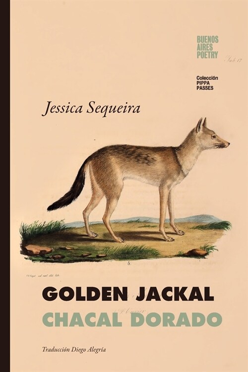 Golden Jackal / Chacal Dorado (Paperback)