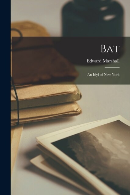 Bat: An Idyl of New York (Paperback)