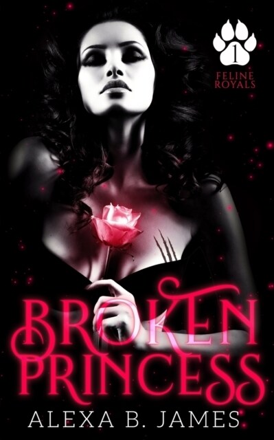 Broken Princess: A Dark Paranormal Romance (Paperback)