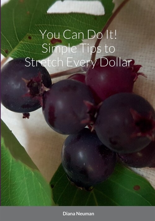 You Can Do It! Simple Tips to Stretch Every Dollar (Paperback)