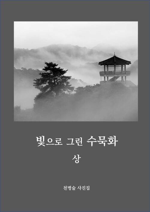 빛으로 그린 수묵화 상