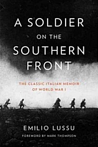 A Soldier on the Southern Front: The Classic Italian Memoir of World War 1 (Hardcover)