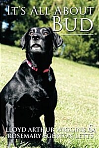 Its All about Bud (Paperback)