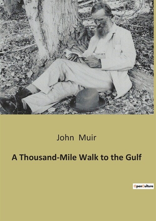 A Thousand-Mile Walk to the Gulf (Paperback)