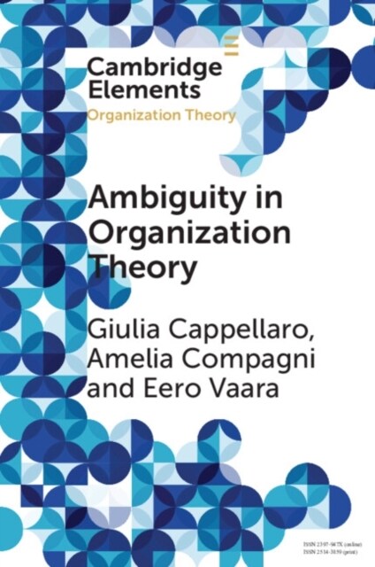 Ambiguity in Organization Theory : From Intrinsic to Strategic Perspectives (Paperback)