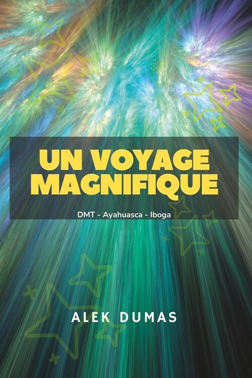 Un Voyage Magnifique: DMT - Ayahuasca - Iboga (Paperback)