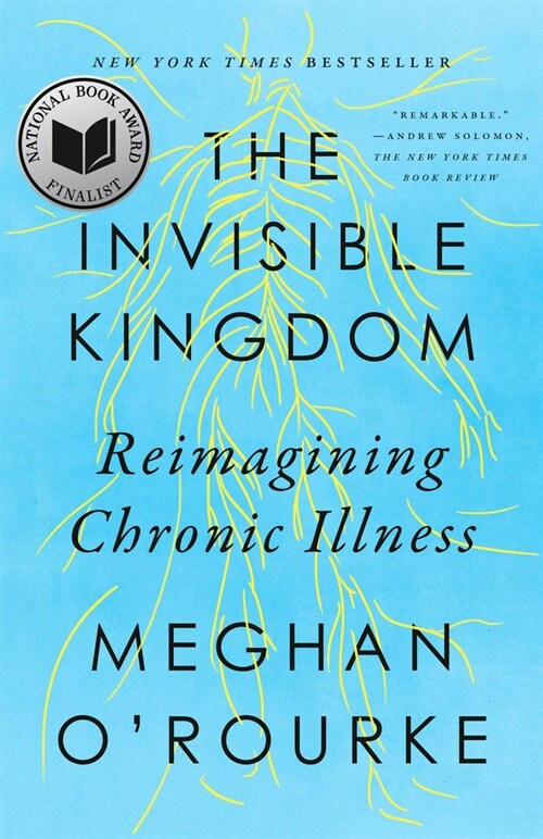 The Invisible Kingdom: Reimagining Chronic Illness (Paperback)