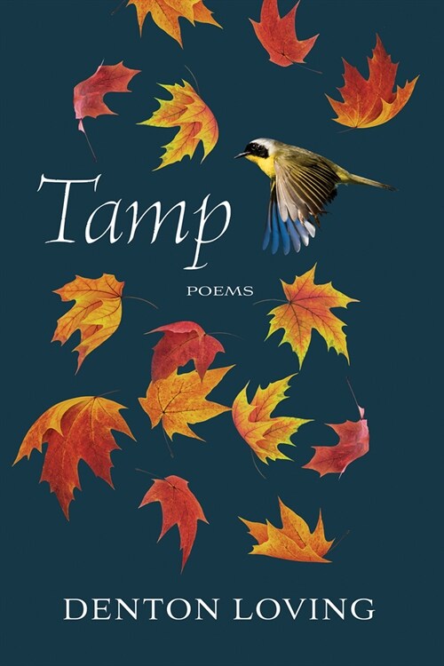 Tamp (Paperback)