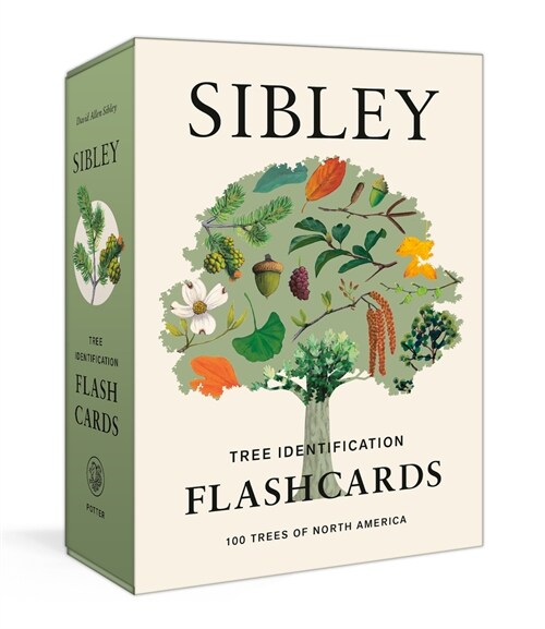 Sibley Tree Identification Flashcards: 100 Trees of North America (Other)