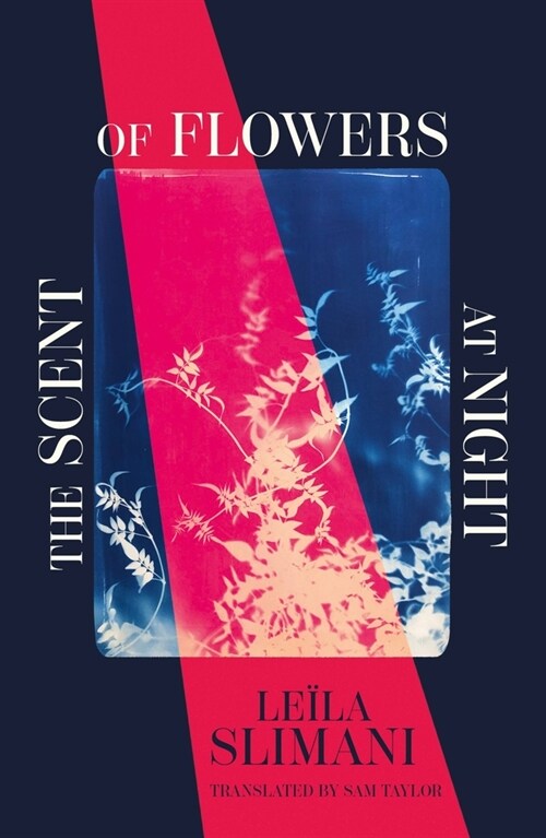 The Scent of Flowers at Night : a stunning new work of non-fiction from the bestselling author of Lullaby (Hardcover)