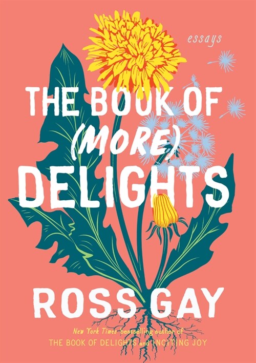 The Book of (More) Delights: Essays (Hardcover)