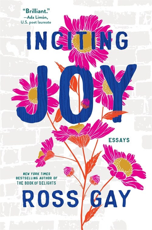 Inciting Joy: Essays (Paperback)