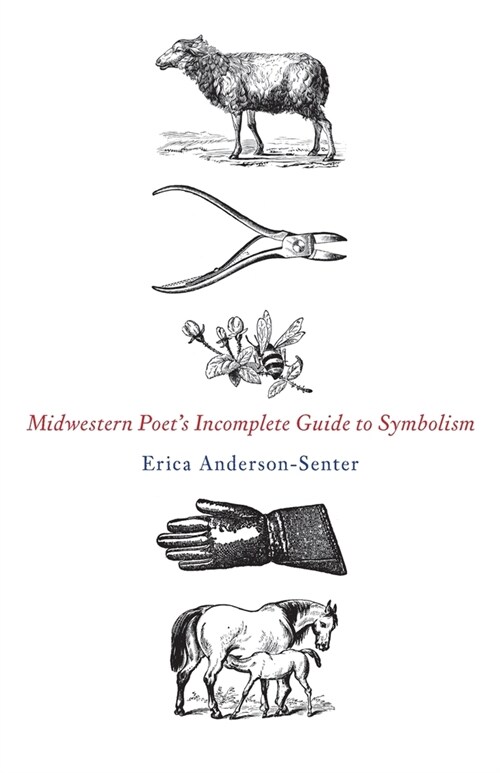 Midwestern Poets Incomplete Guide to Symbolism (Paperback)