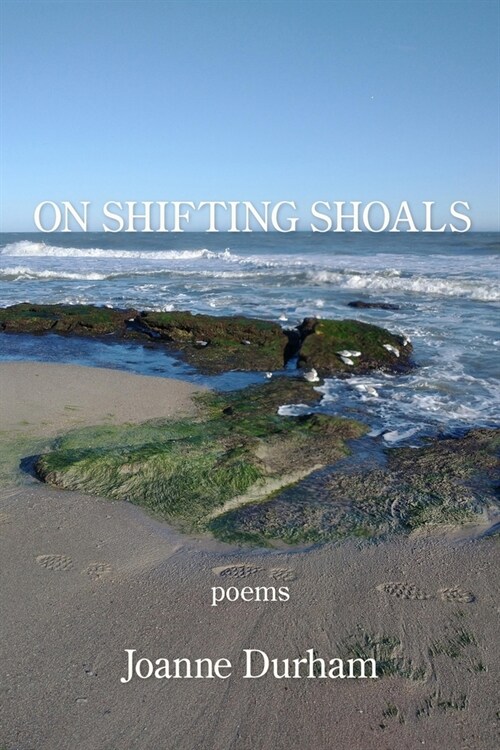 On Shifting Shoals (Paperback)