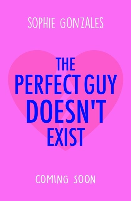 The Perfect Guy Doesnt Exist (Paperback)
