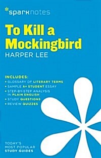 To Kill a Mockingbird Sparknotes Literature Guide: Volume 62 (Paperback)