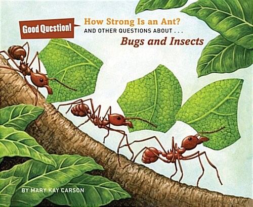 How Strong Is an Ant?: And Other Questions About... Bugs and Insects (Paperback)