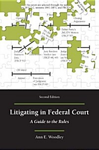 Litigating in Federal Court (Paperback, 2nd)
