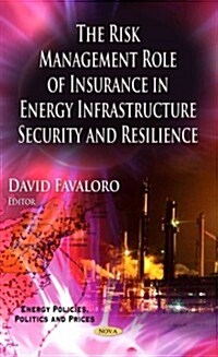 Risk Management Role of Insurance in Energy Infrastructure Security & Resilience (Hardcover, UK)
