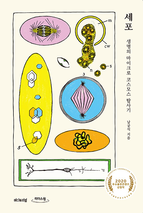 [큰글자도서] 세포, 생명의 마이크로 코스모스 탐사기