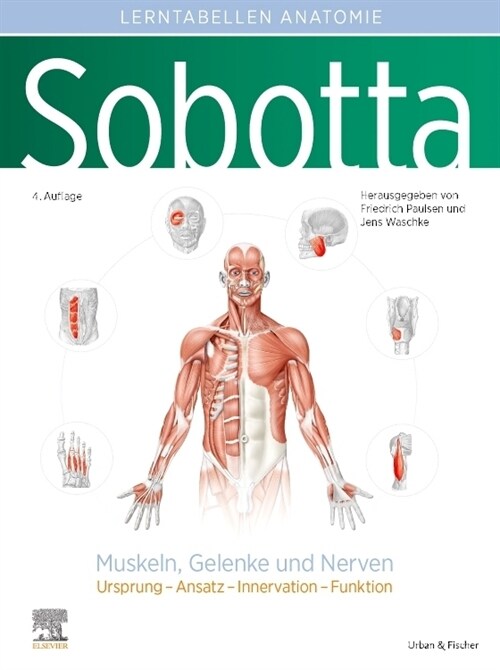 Sobotta Lerntabellen Anatomie Muskeln, Gelenke und Nerven (Paperback, 4th)